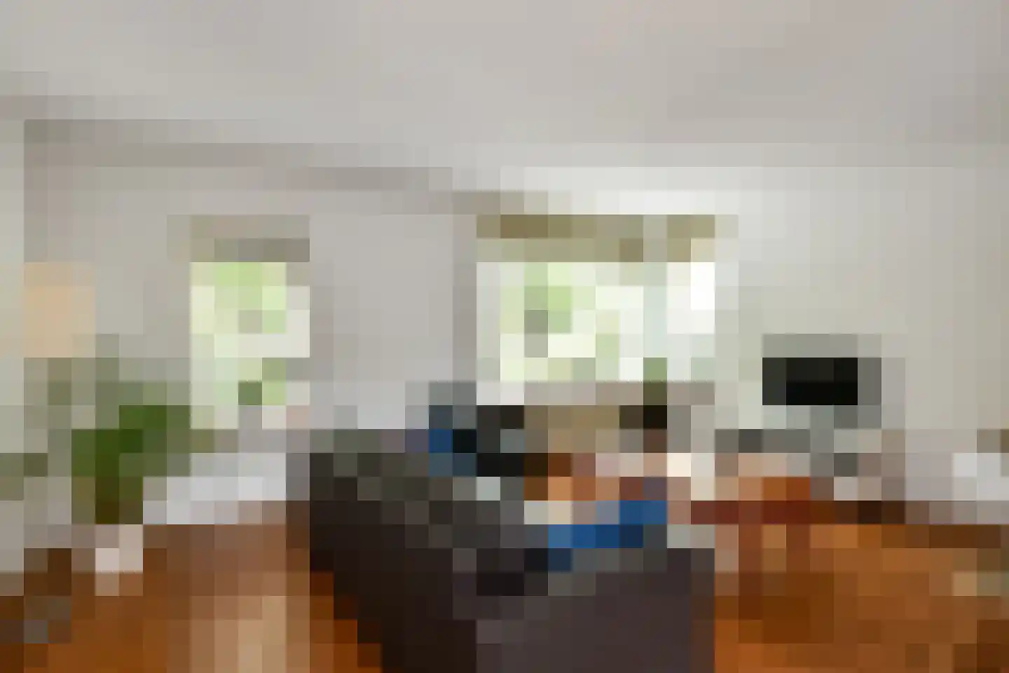 Tollekamp 71 Elst thumbnail 7