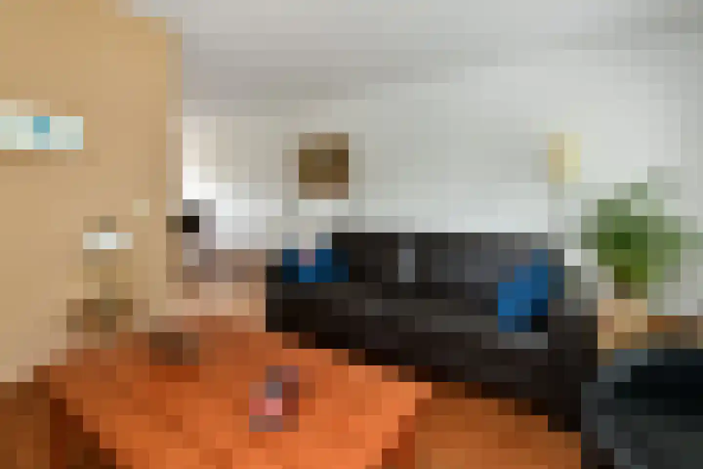 Tollekamp 71 Elst thumbnail 9