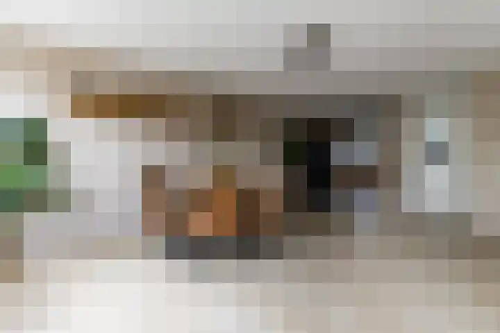 Tollenaarsgroet 1 Zuid-Scharwoude thumbnail 20