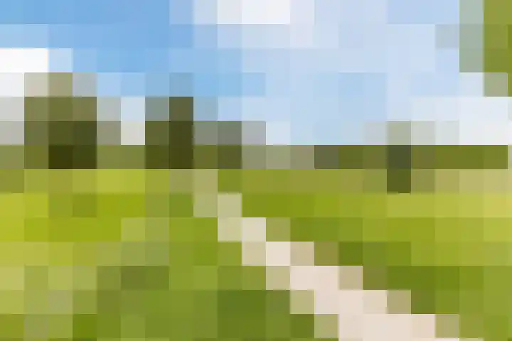 Tollenaarsgroet 1 Zuid-Scharwoude thumbnail 50