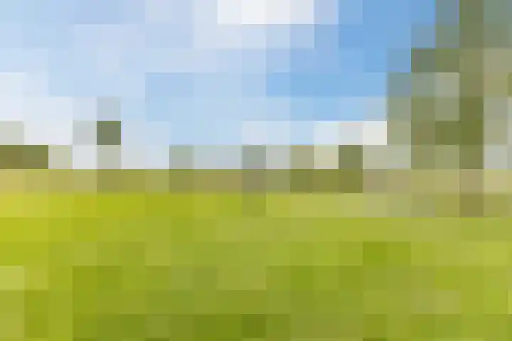 Tollenaarsgroet 1 Zuid-Scharwoude thumbnail 51