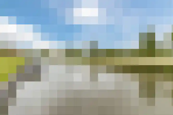 Tollenaarsgroet 1 Zuid-Scharwoude thumbnail 52