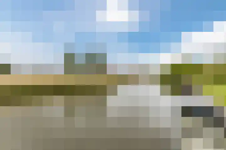 Tollenaarsgroet 1 Zuid-Scharwoude thumbnail 53