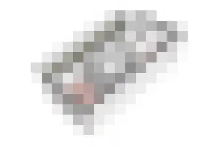 Tollenaarsgroet 1 Zuid-Scharwoude thumbnail 56