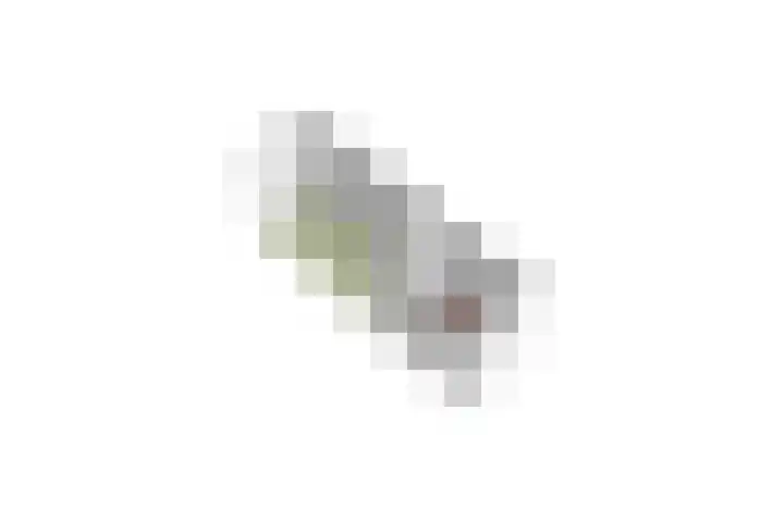 Tollenaarsgroet 1 Zuid-Scharwoude thumbnail 58