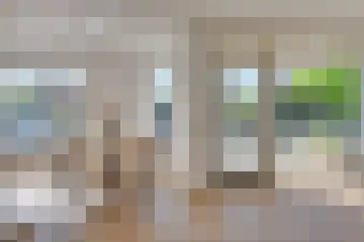 Tollenaarsgroet 21 Zuid-Scharwoude thumbnail 13