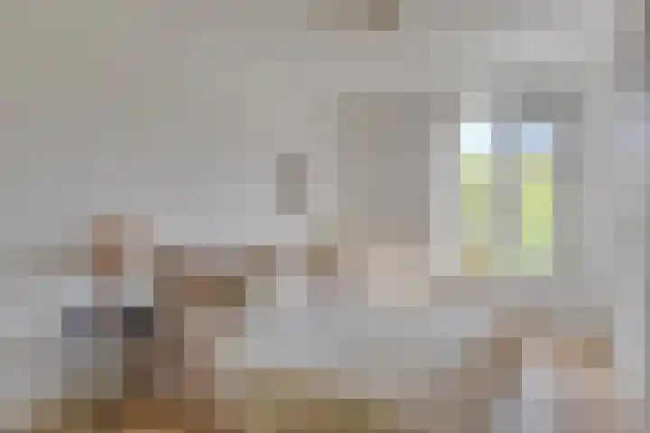 Tollenaarsgroet 21 Zuid-Scharwoude thumbnail 18