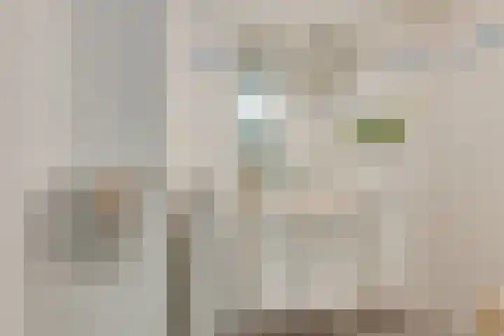Tollenaarsgroet 21 Zuid-Scharwoude thumbnail 21