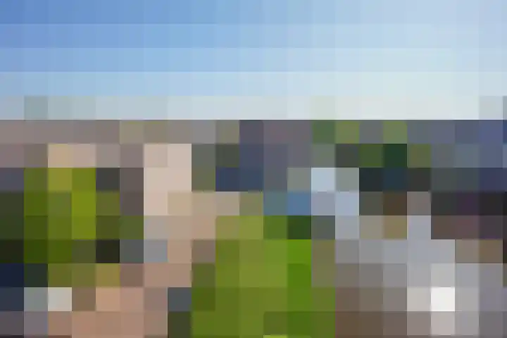 Tollenaarsgroet 21 Zuid-Scharwoude thumbnail 32