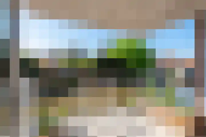 Tollenaarsgroet 21 Zuid-Scharwoude thumbnail 4