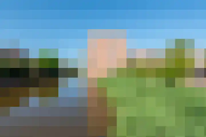 Tollenaarsgroet 21 Zuid-Scharwoude thumbnail 5