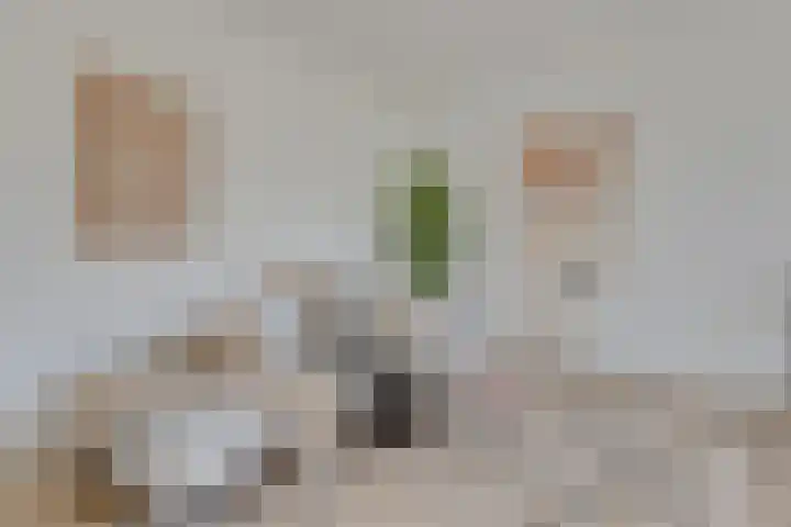 Tollenaarsgroet 21 Zuid-Scharwoude thumbnail 9