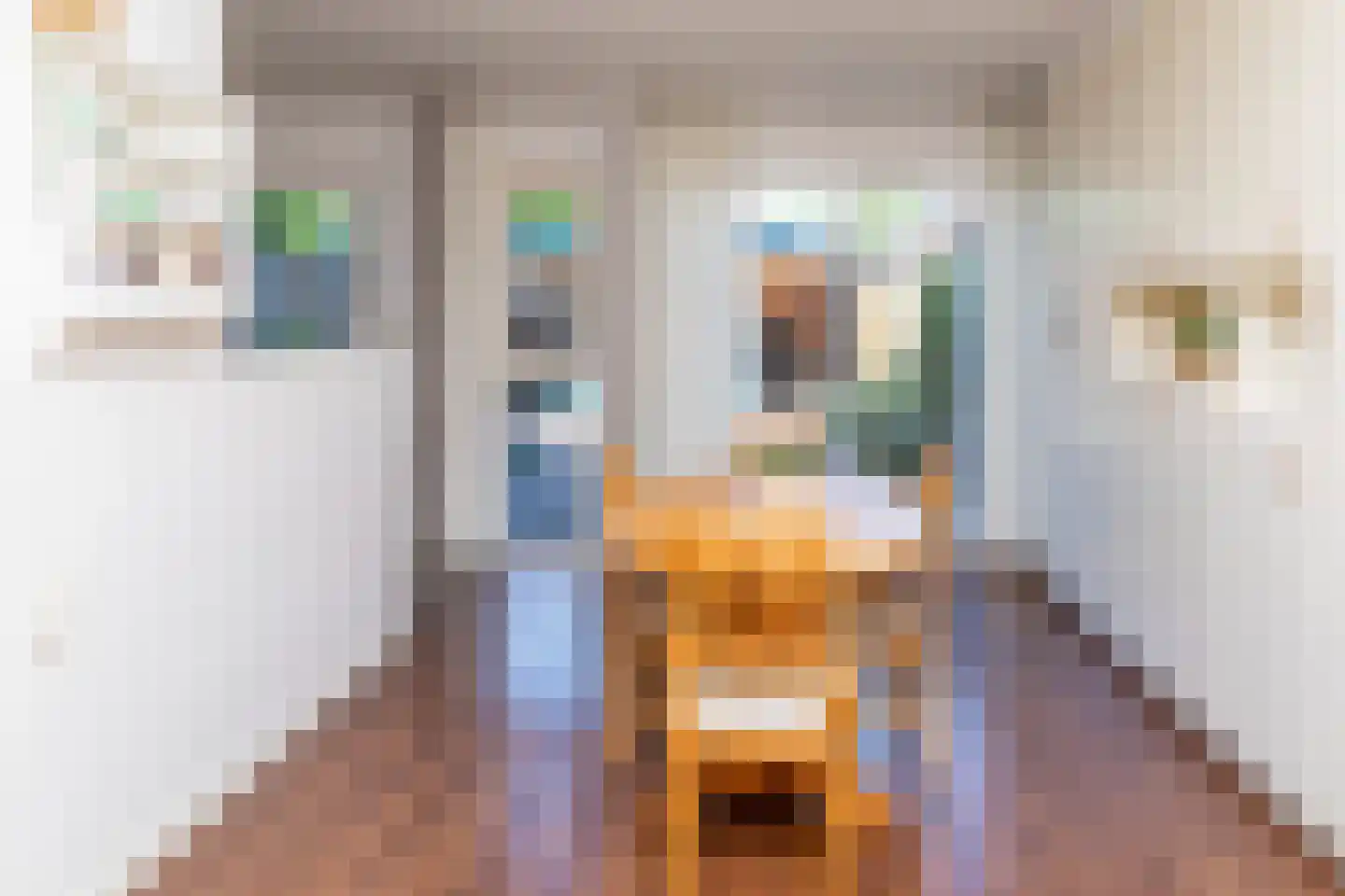 Tollenhof 21 Kesteren thumbnail 14