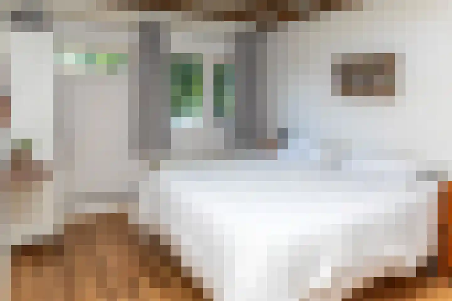 Tollenhof 21 Kesteren thumbnail 22