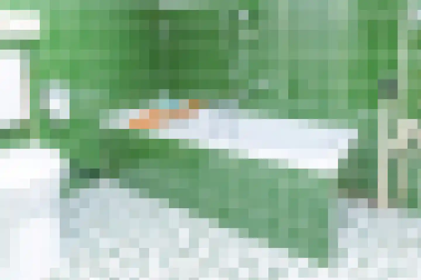 Tollenhof 21 Kesteren thumbnail 33
