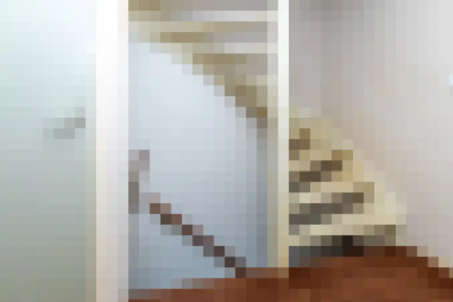 Tollenhof 21 Kesteren thumbnail 34