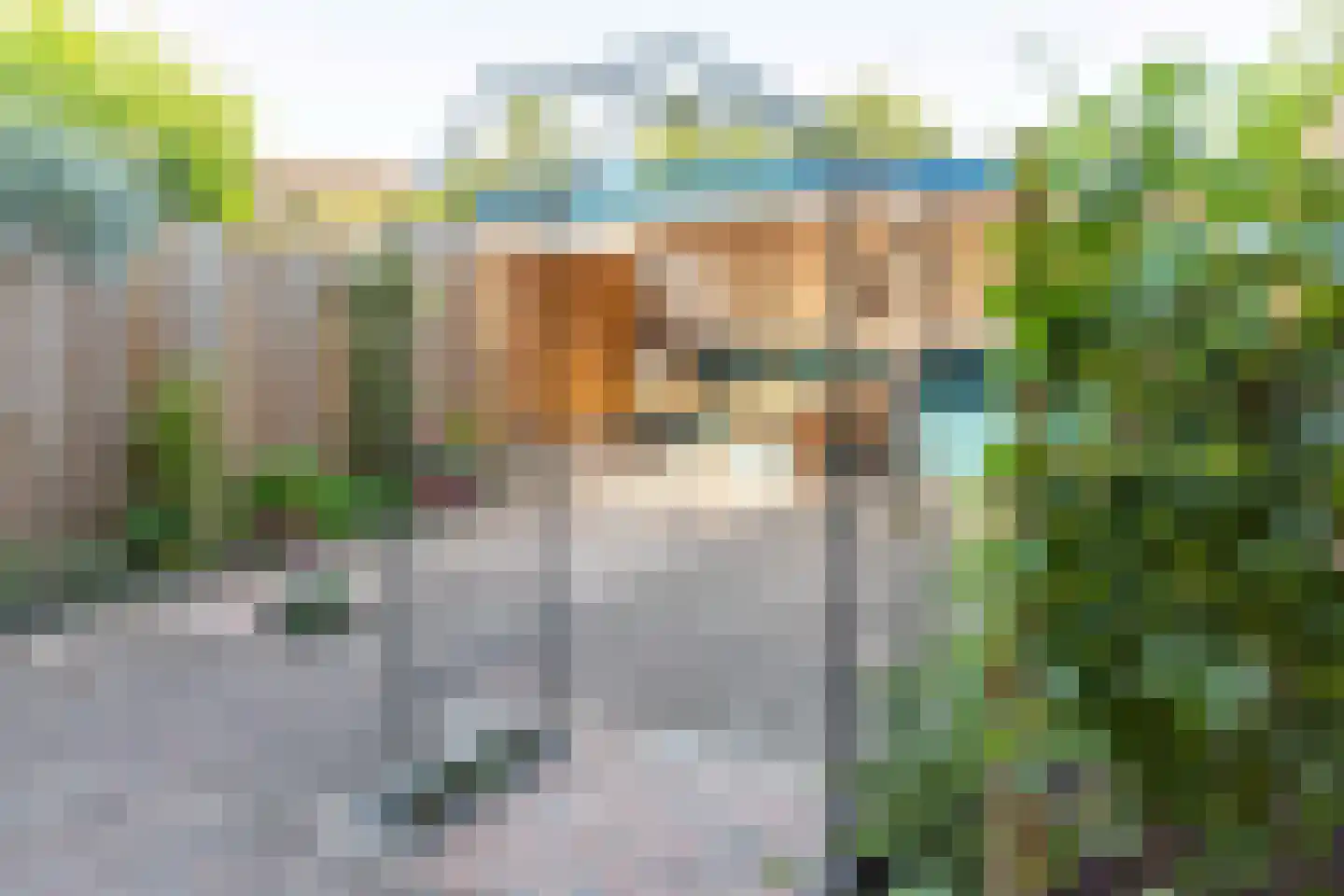 Tollenhof 21 Kesteren thumbnail 40