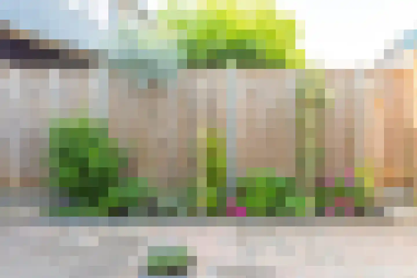 Tollenhof 21 Kesteren thumbnail 45