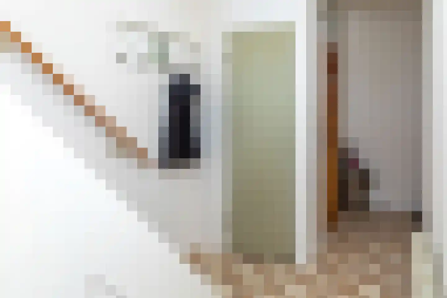 Tollenhof 21 Kesteren thumbnail 59