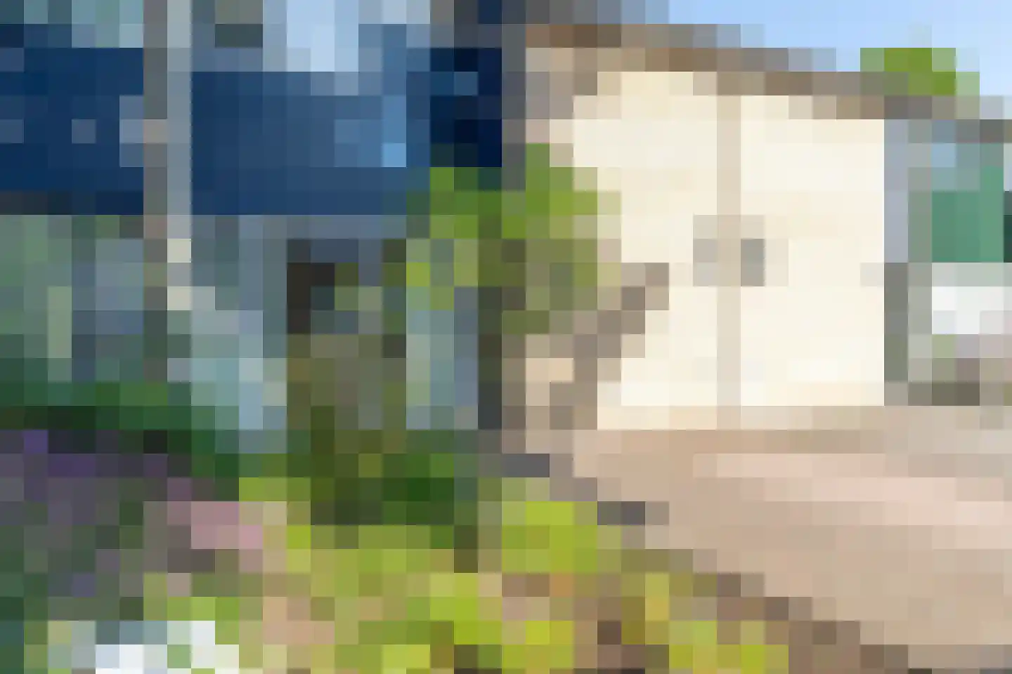 Tollenhof 21 Kesteren thumbnail 6