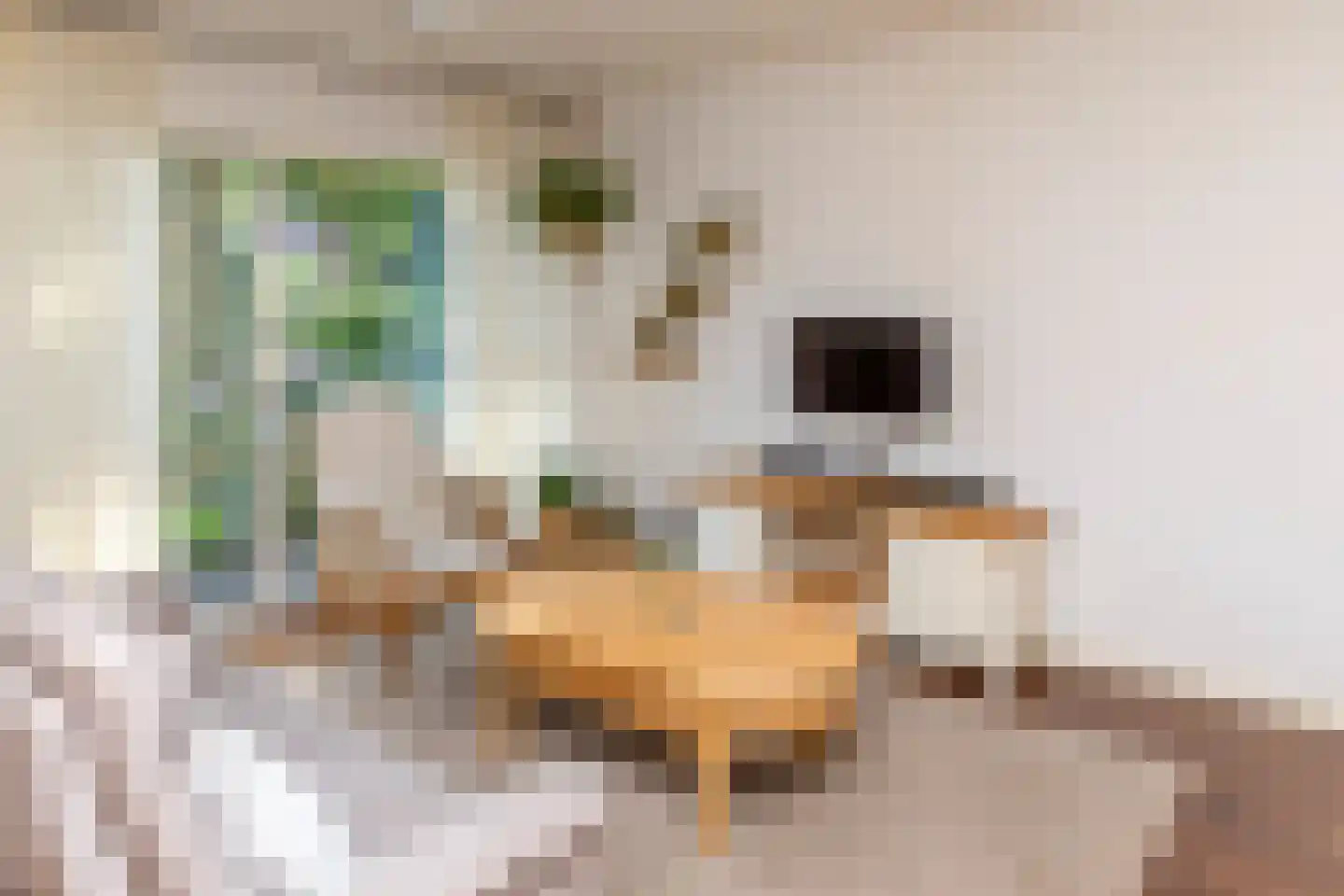 Tollenhof 21 Kesteren thumbnail 63