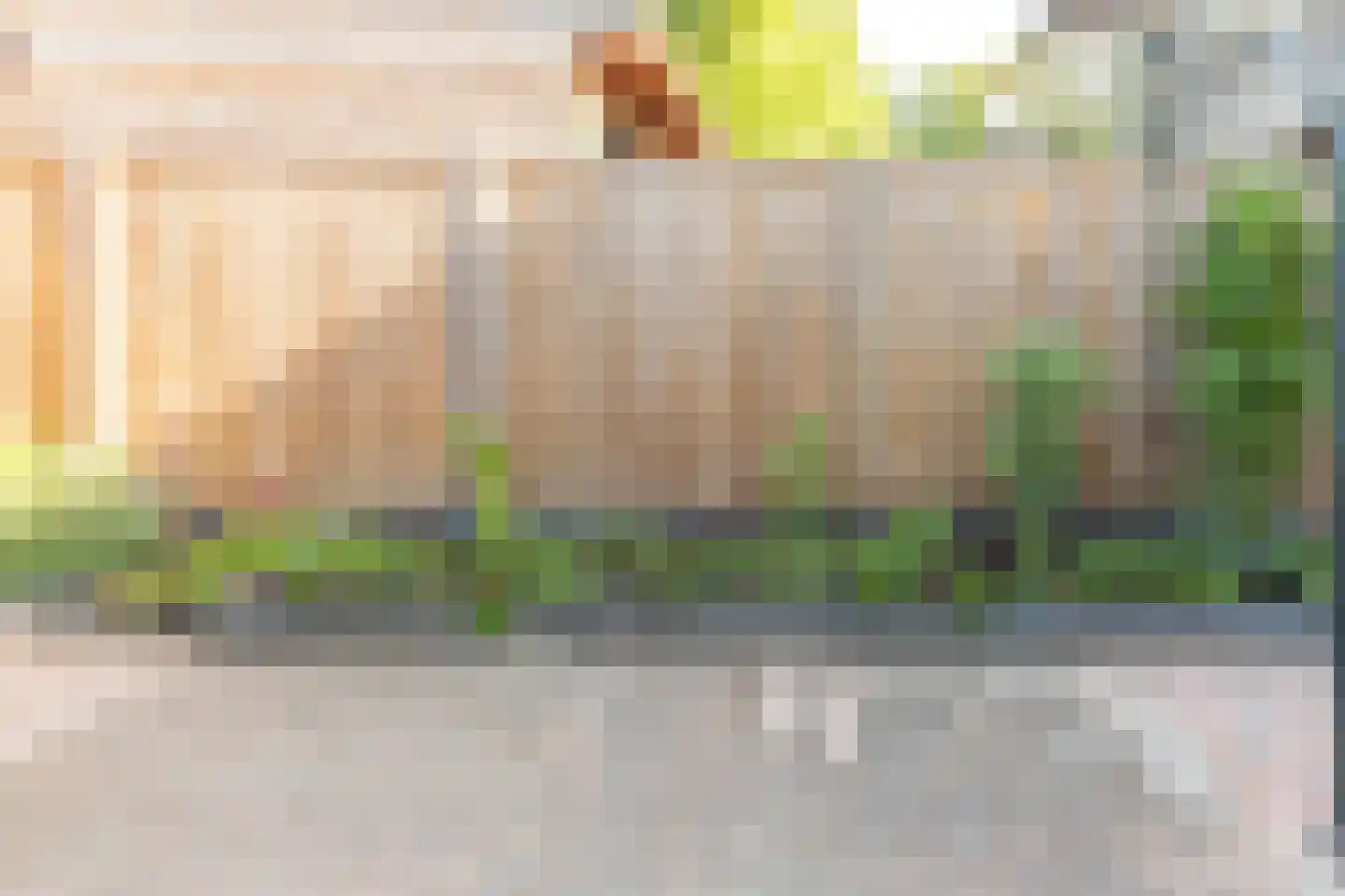 Tollenhof 21 Kesteren thumbnail 86