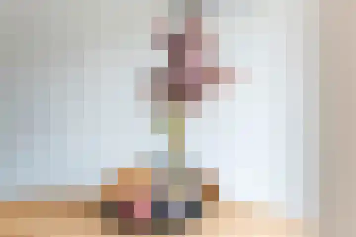 Tollenhof 23 Kesteren thumbnail 10