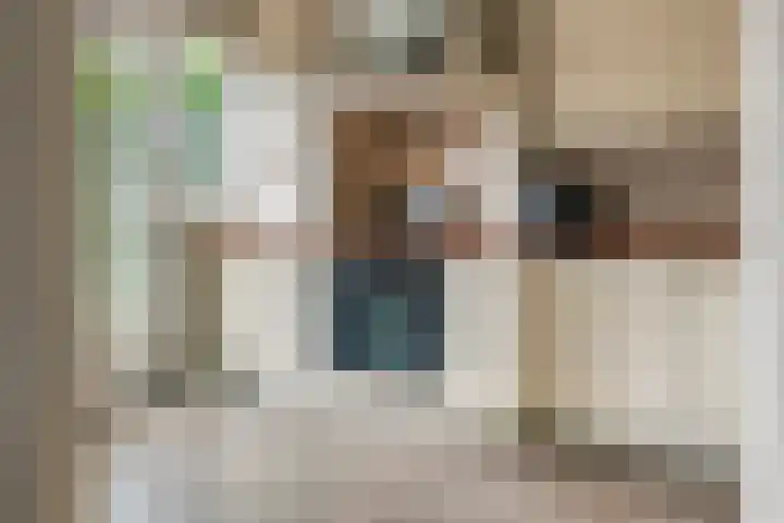 Tollenhof 23 Kesteren thumbnail 12
