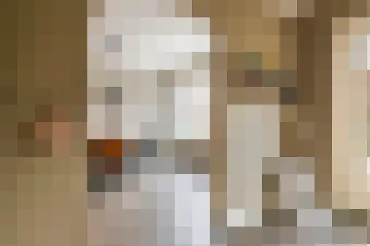 Tollenhof 23 Kesteren thumbnail 15