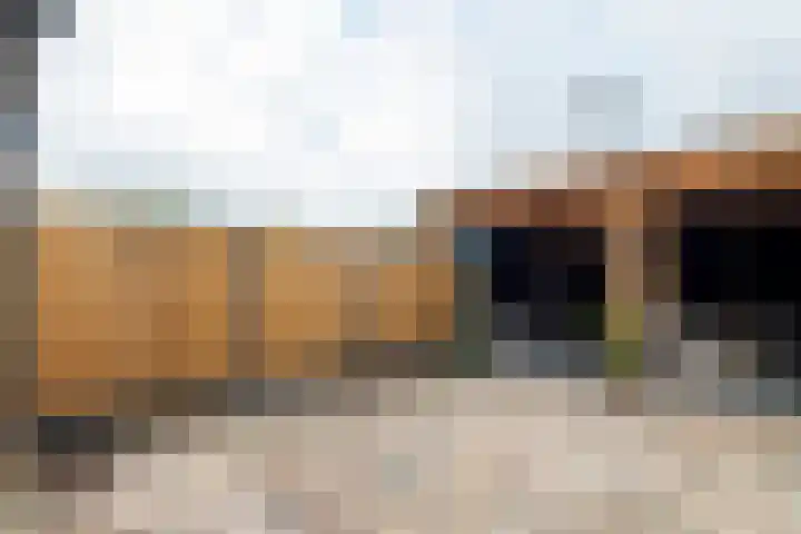 Tollenhof 23 Kesteren thumbnail 16