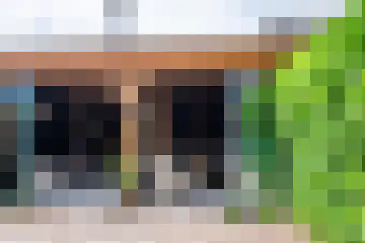 Tollenhof 23 Kesteren thumbnail 17