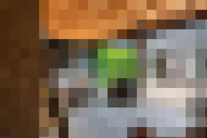 Tollenhof 23 Kesteren thumbnail 18