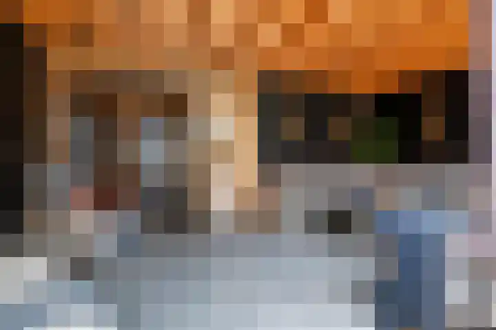 Tollenhof 23 Kesteren thumbnail 21