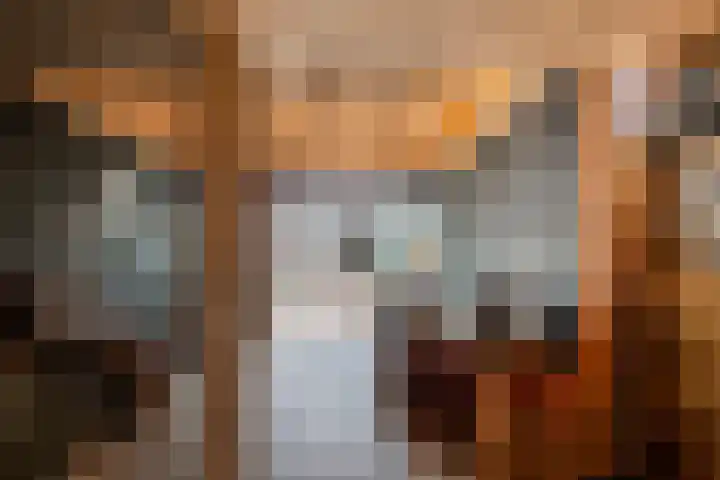 Tollenhof 23 Kesteren thumbnail 22