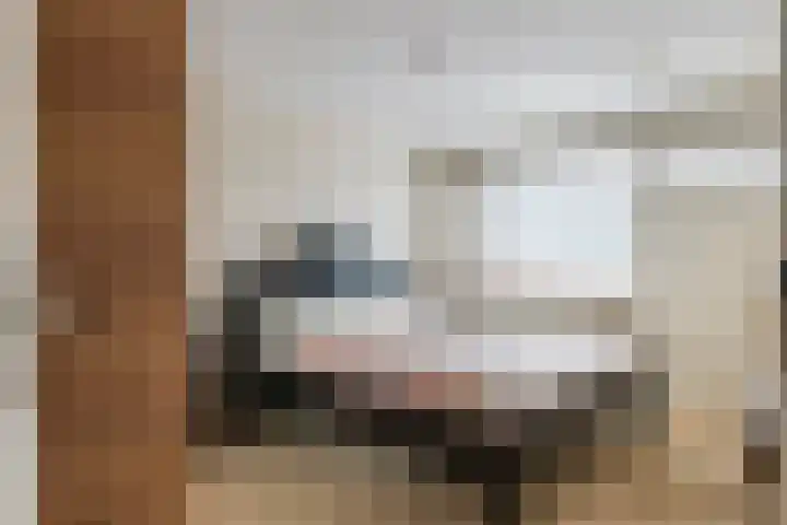 Tollenhof 23 Kesteren thumbnail 28