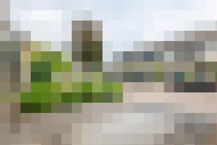 Tollenhof 23 Kesteren thumbnail 40