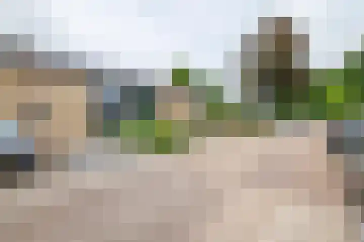 Tollenhof 23 Kesteren thumbnail 41