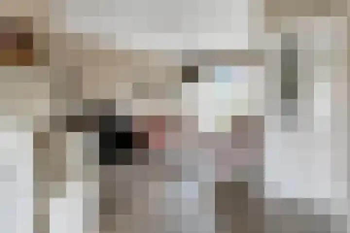 Tollenhof 23 Kesteren thumbnail 5