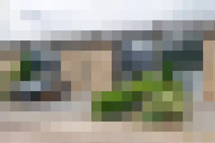 Tollenhof 23 Kesteren thumbnail 50