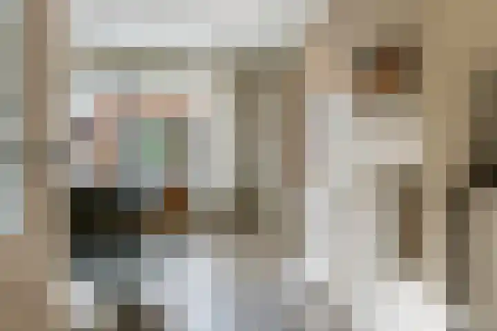 Tollenhof 23 Kesteren thumbnail 8