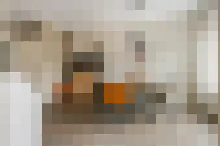 Tollenhof 23 Kesteren thumbnail 9