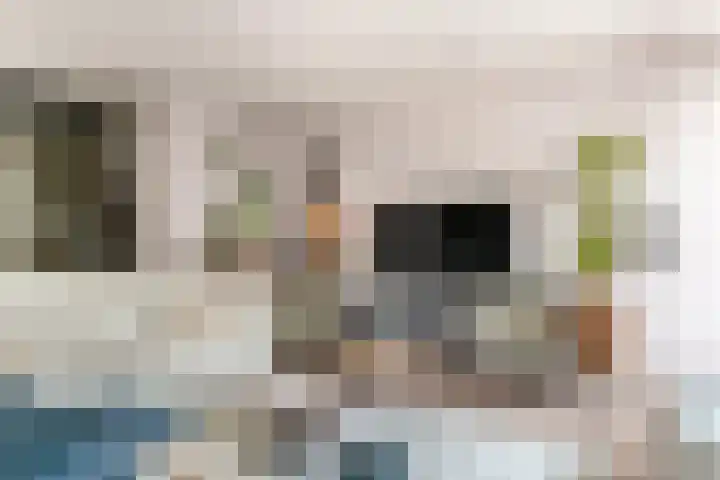 Tollenhof 27 Kesteren thumbnail 11