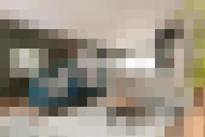 Tollenhof 27 Kesteren thumbnail 12