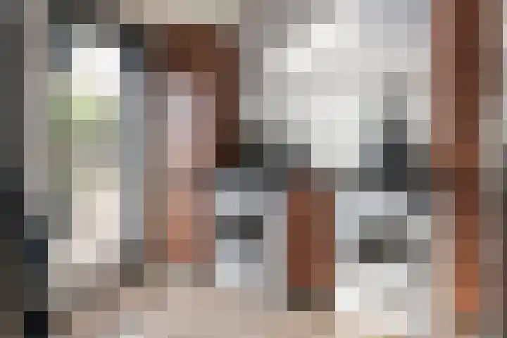 Tollenhof 27 Kesteren thumbnail 19