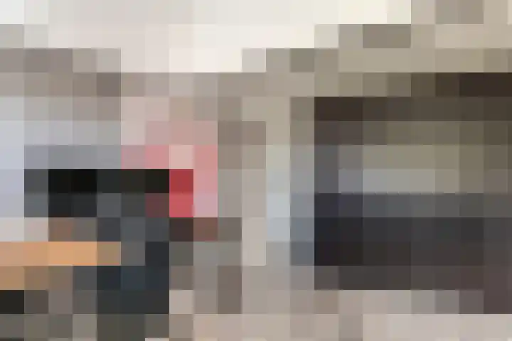 Tollenhof 27 Kesteren thumbnail 22