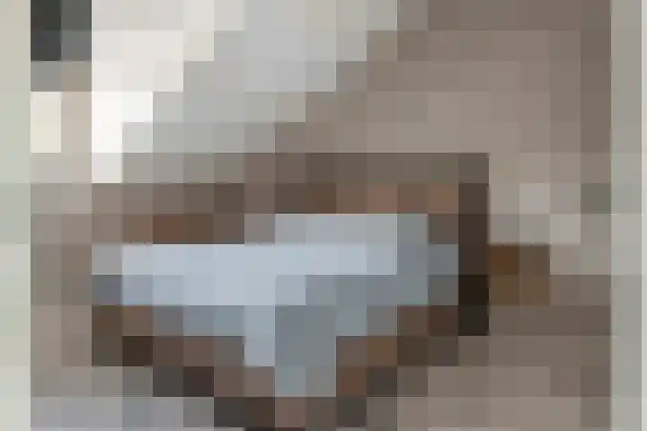 Tollenhof 27 Kesteren thumbnail 23