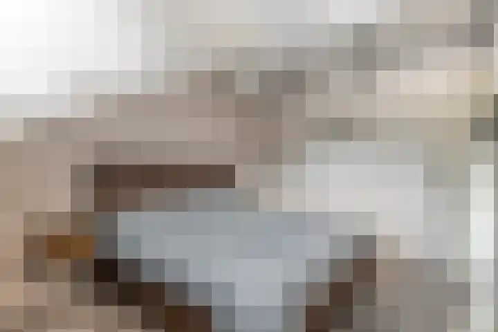 Tollenhof 27 Kesteren thumbnail 24