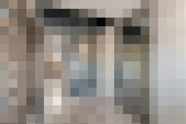 Tollenhof 27 Kesteren thumbnail 26