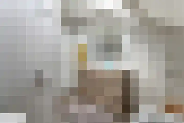Tollenhof 27 Kesteren thumbnail 29