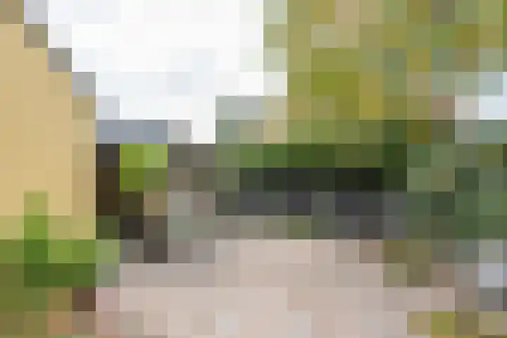 Tollenhof 27 Kesteren thumbnail 34